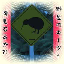 ̂聚uS